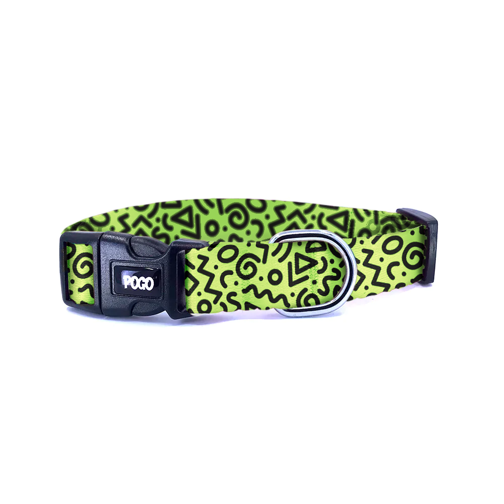 Pisto Green Loop | Dog Collar