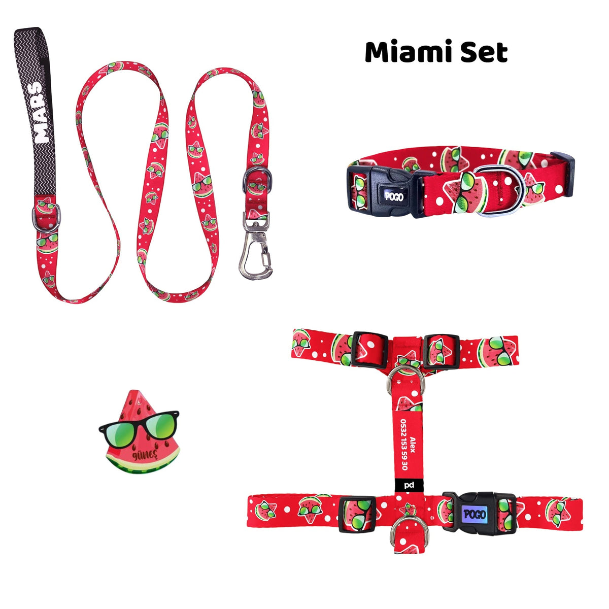 Miami | Tasma ve Künye Seti - Evcil hayvanlar için mükemmel bir ürün.