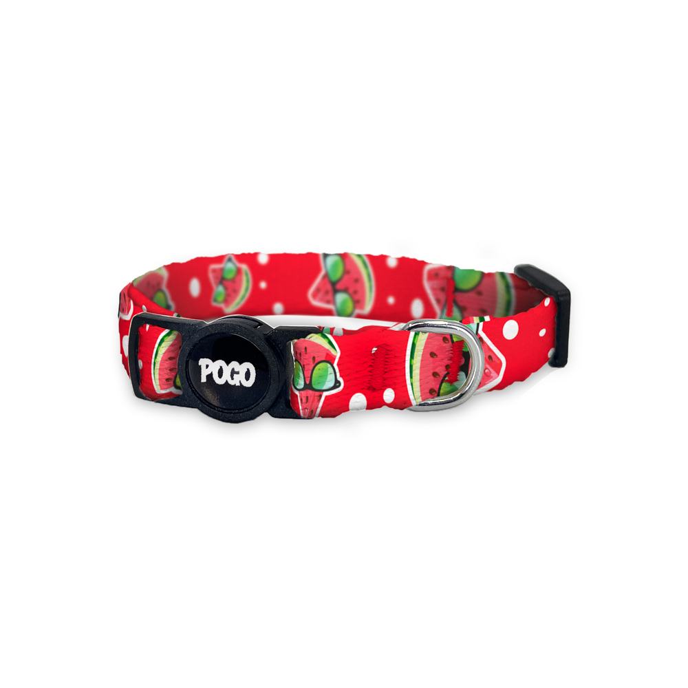 Miami | Kedi Tasması - Evcil hayvanlar için mükemmel bir ürün.