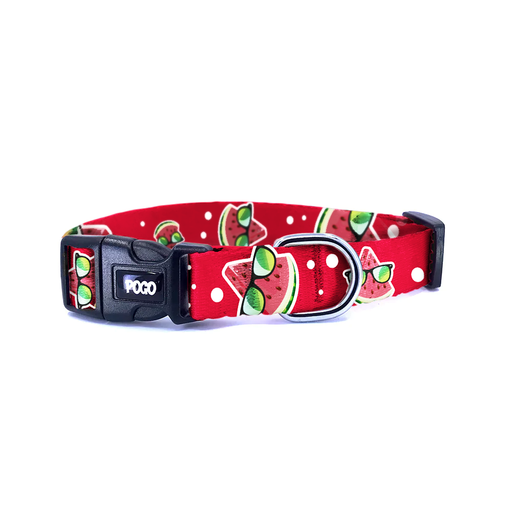 Miami | Dog Collar