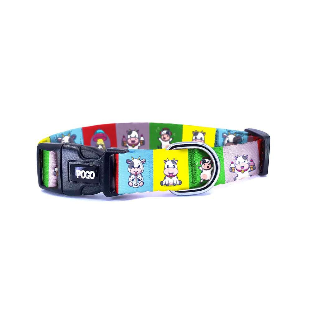 Jolly | Dog Collar