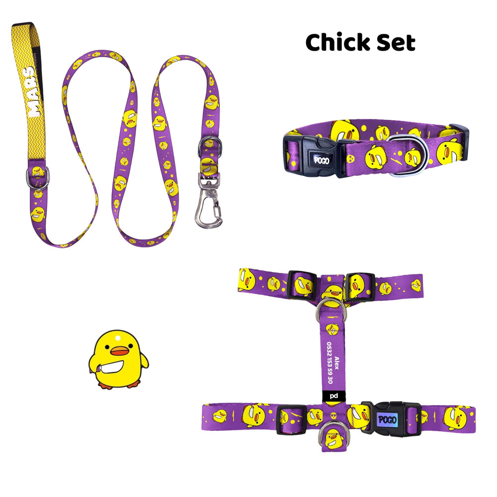 Chick | Tasma ve Künye Seti - Evcil hayvanlar için mükemmel bir ürün.