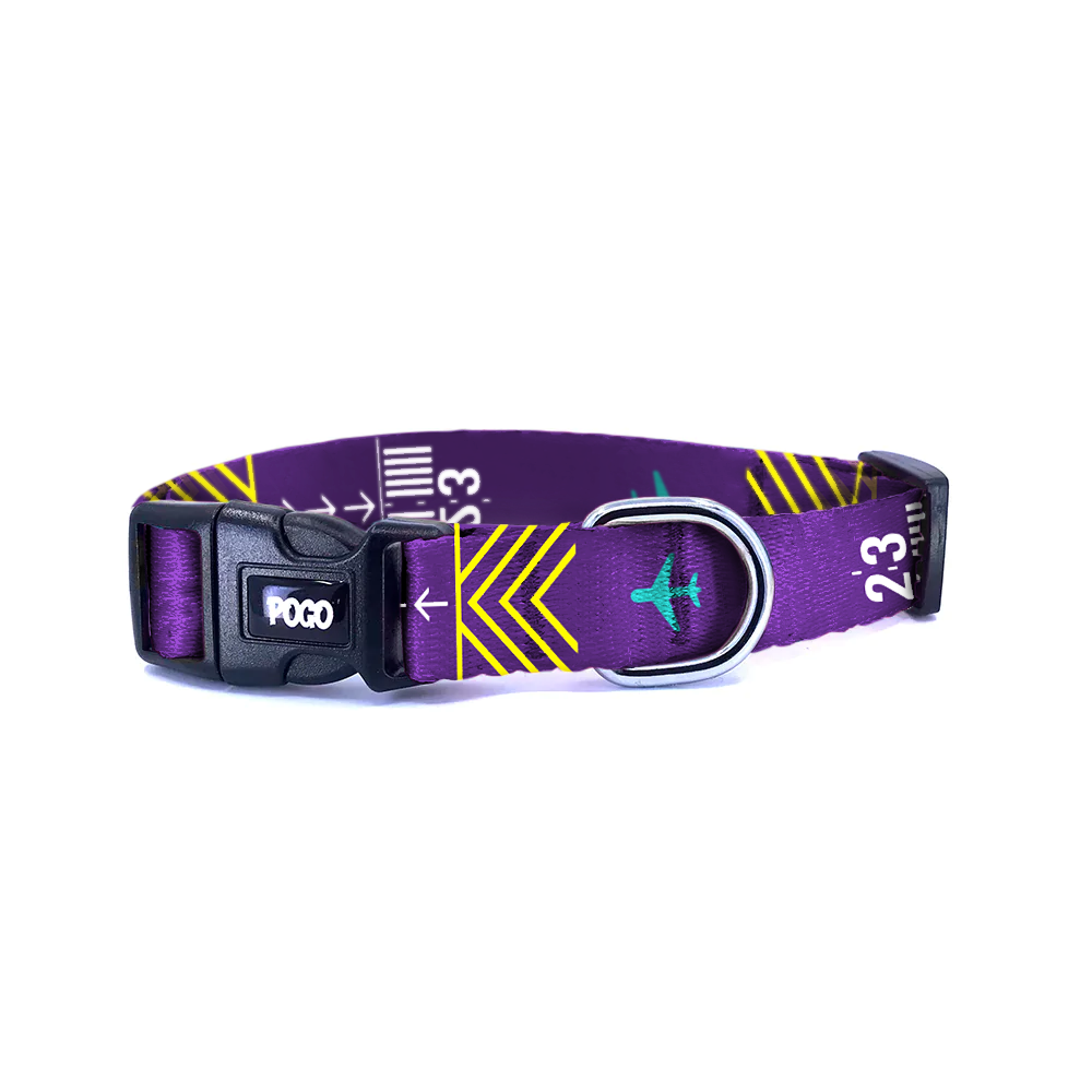 Pilot | Dog Collar