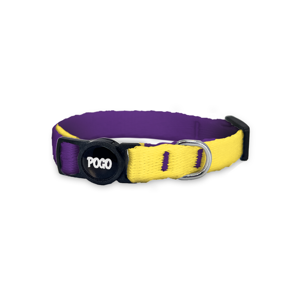 Purple Yellow | Cat Collar - Best collars for all cats