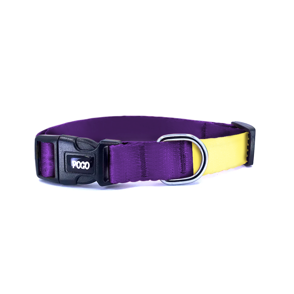 Purple Yellow | Dog Collar