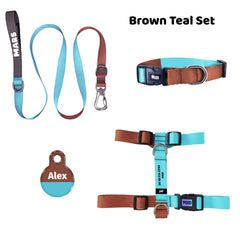 Brown Teal | Tasma ve Künye Seti - Evcil hayvanlar için mükemmel bir ürün.