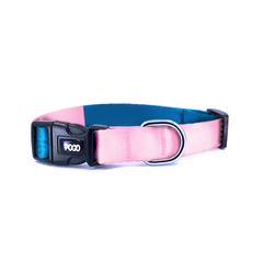 Blue Pink | Dog Collar