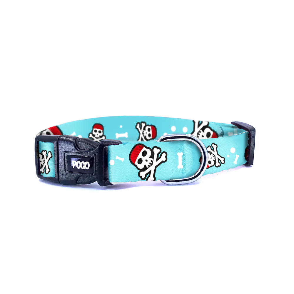 Pirates | Dog Collar