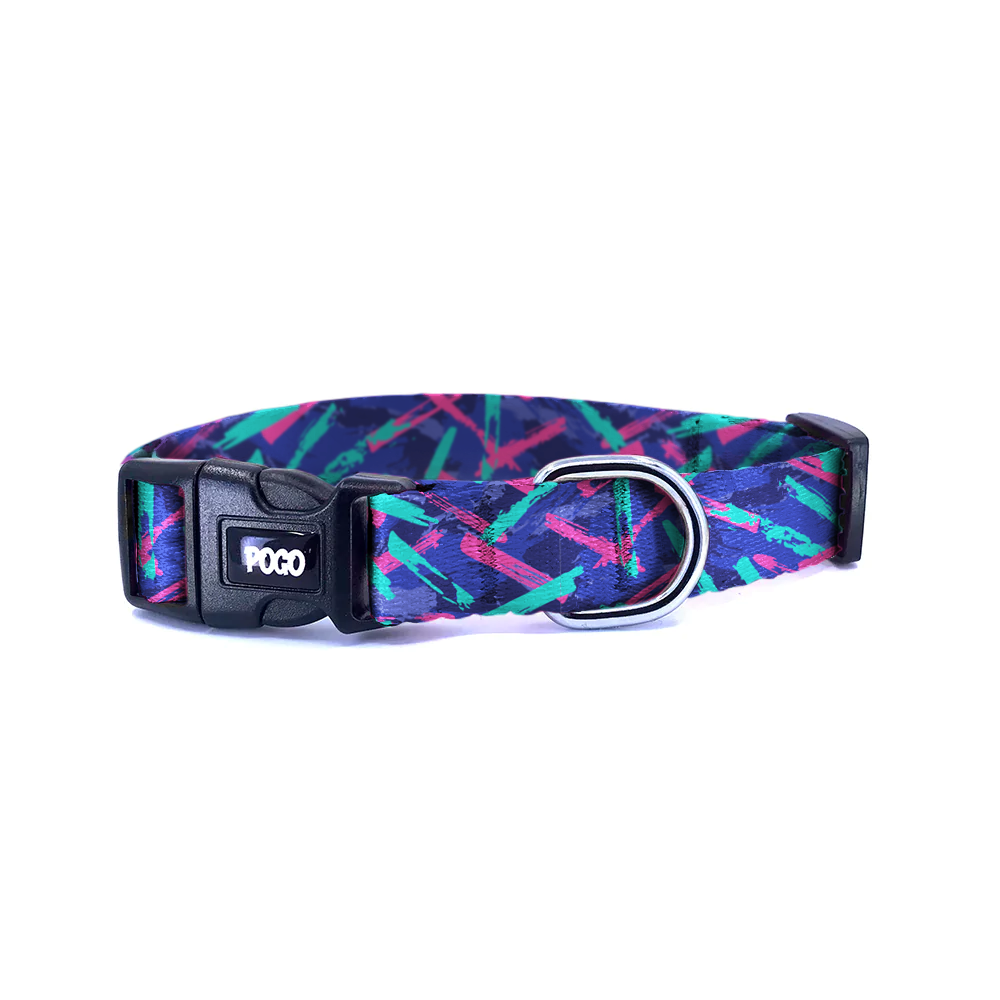 Swift | Dog Collar