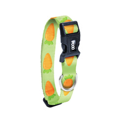 Carrot | Dog Collar