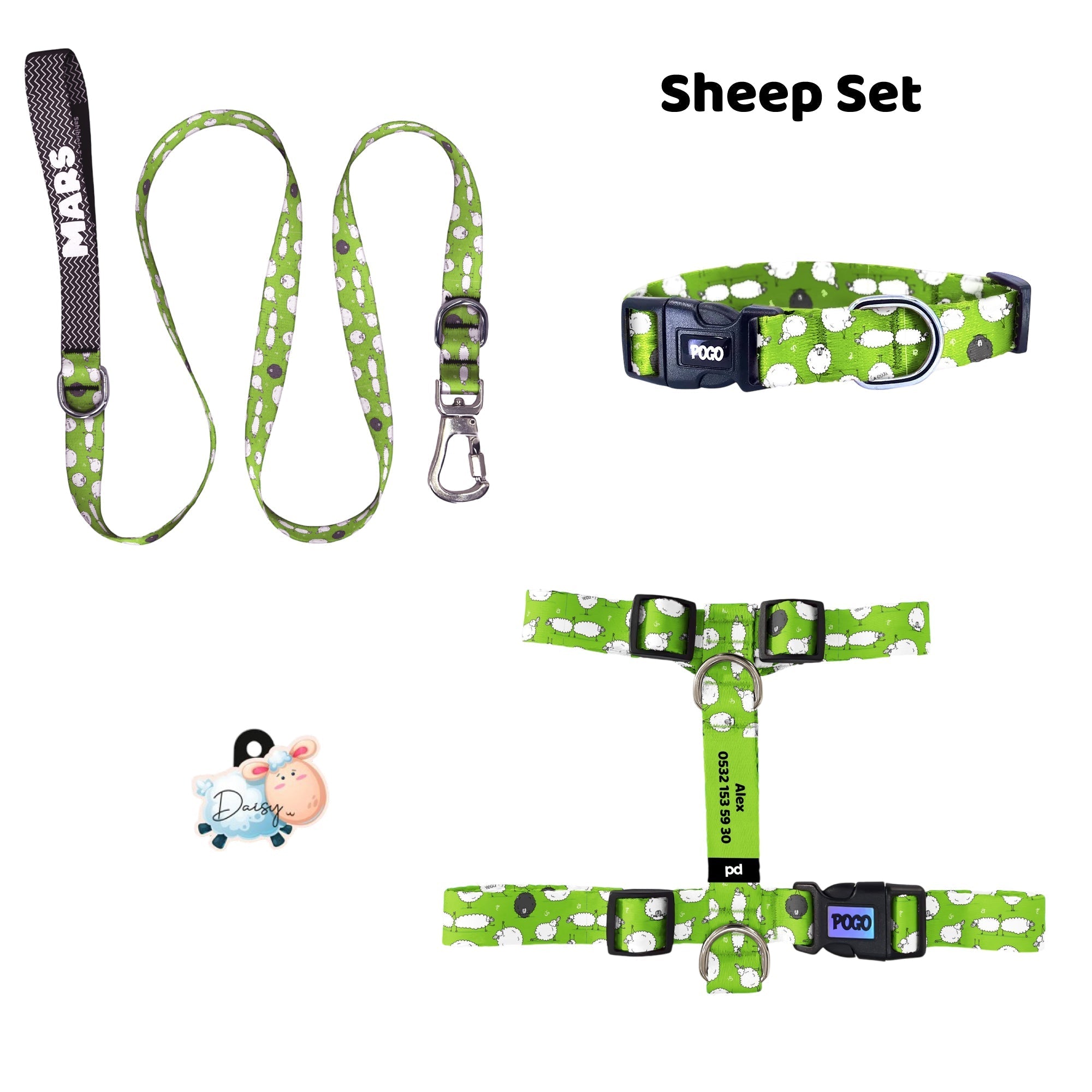 Sheep | Tasma ve Künye Seti - Evcil hayvanlar için mükemmel bir ürün.