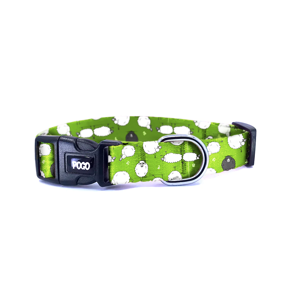 Sheep | Dog Collar