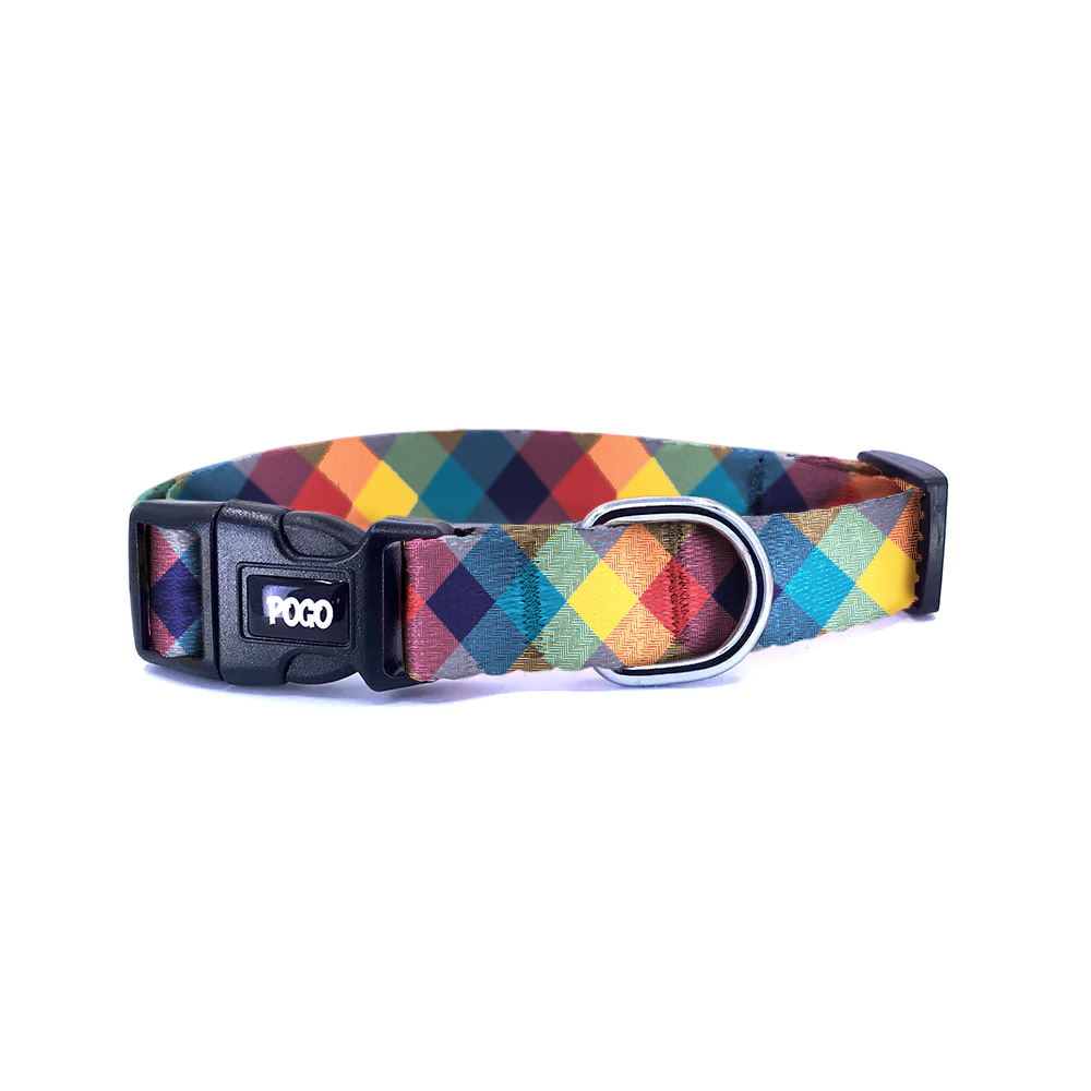 Zoomy | Dog Collar