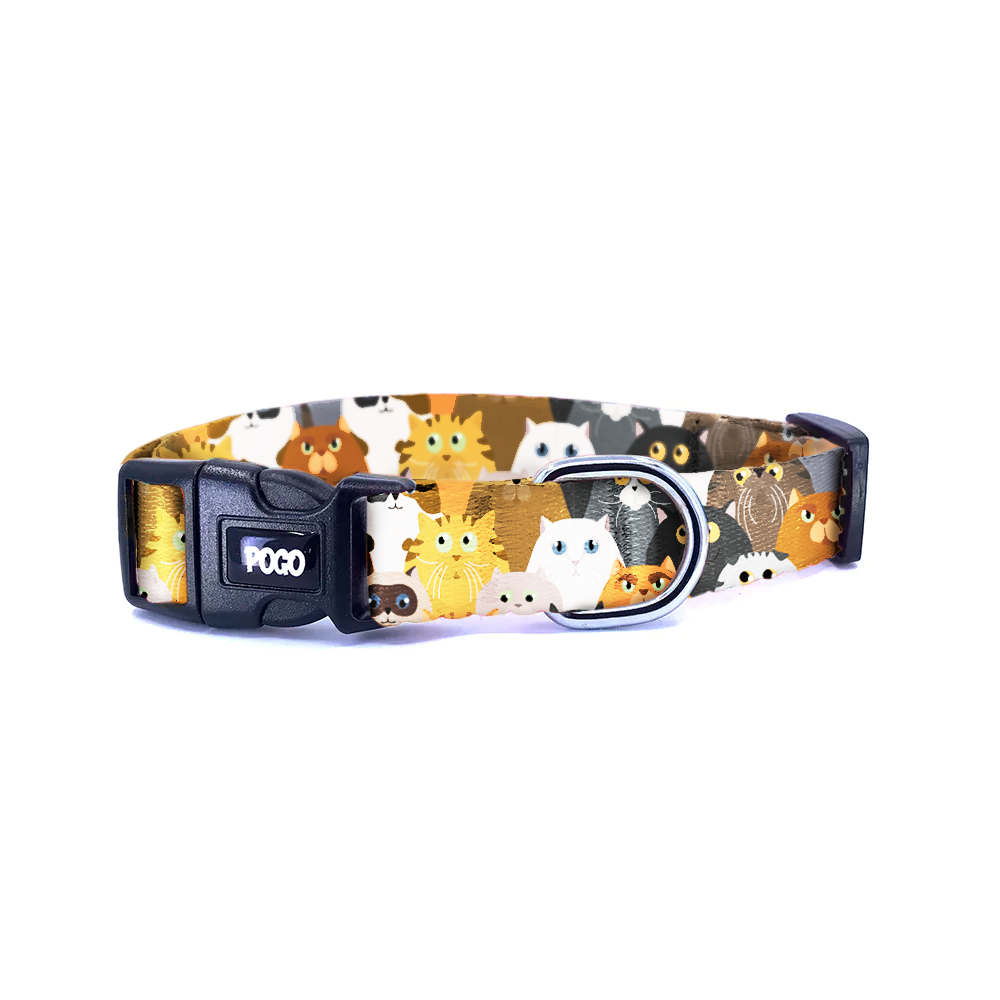 Cats | Dog Collar