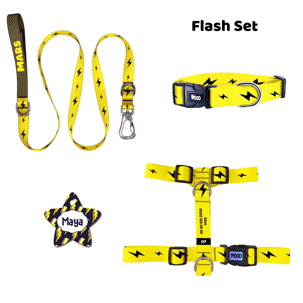 Flash | Tasma ve Künye Seti - Evcil hayvanlar için mükemmel bir ürün.