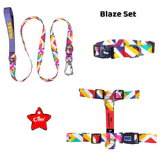 Blaze | Tasma ve Künye Seti - Evcil hayvanlar için mükemmel bir ürün.
