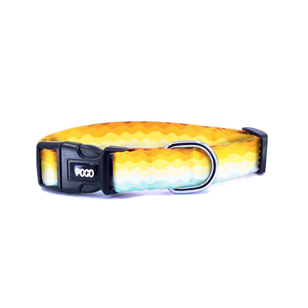 Trek | Dog Collar