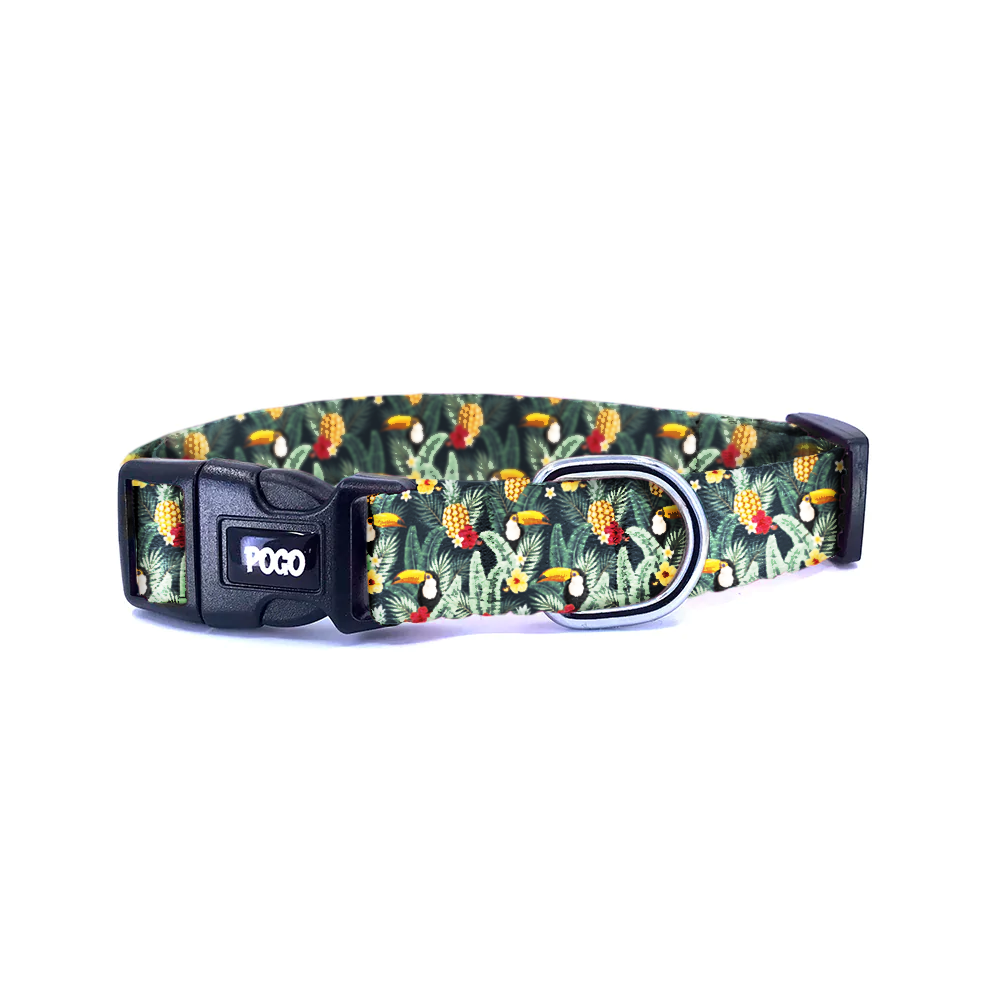Tucan | Dog Collar