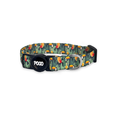Tucan | Cat Collar - Best collars for all cats
