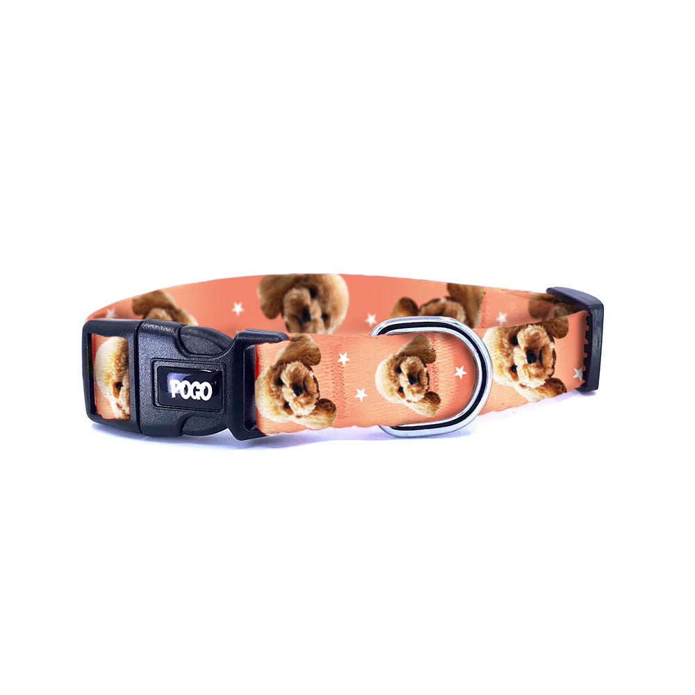 Vesikalık Terra Cotta | Photo Dog Collar