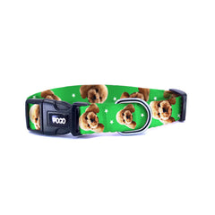 Vesikalık Çim Greeni | Photo Dog Collar