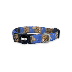 Vesikalık Kraliyet Bluesi | Cat Collar