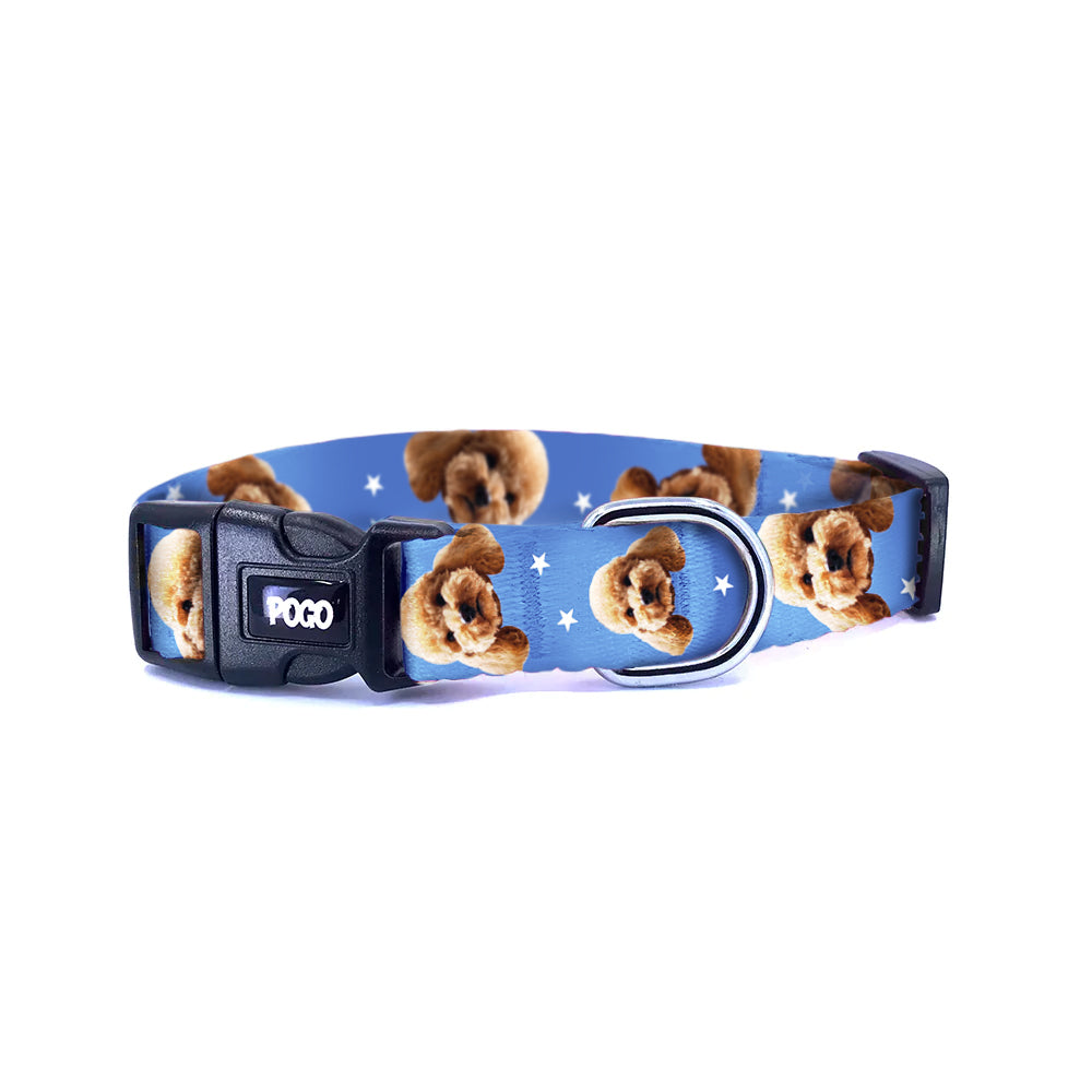 Vesikalık Kraliyet Bluesi | Photo Dog Collar