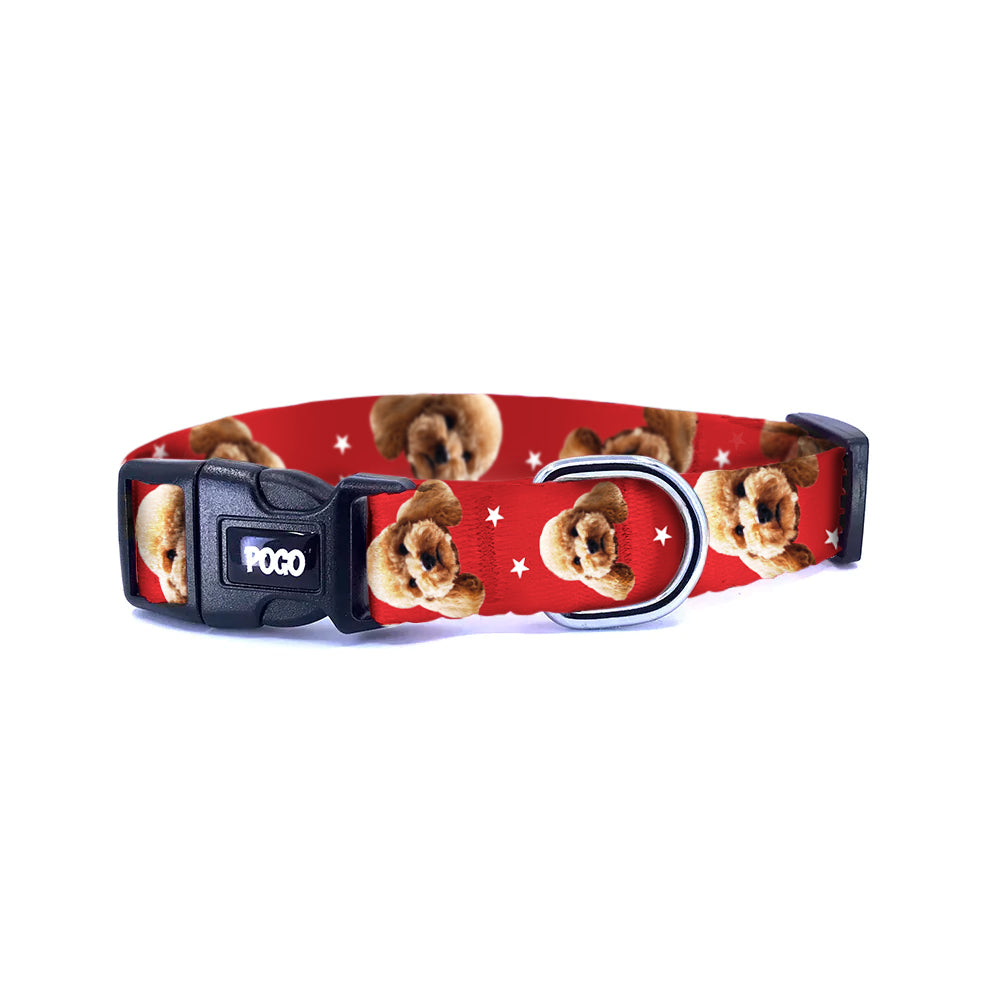 Vesikalık Bordo | Dog Collar