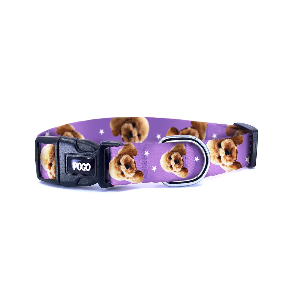 Vesikalık Purple Menekşe | Photo Dog Collar