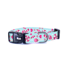Candy Pop | Dog Collar