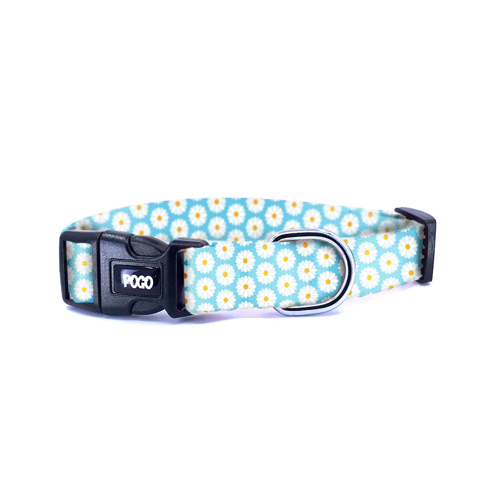 Daisy | Dog Collar