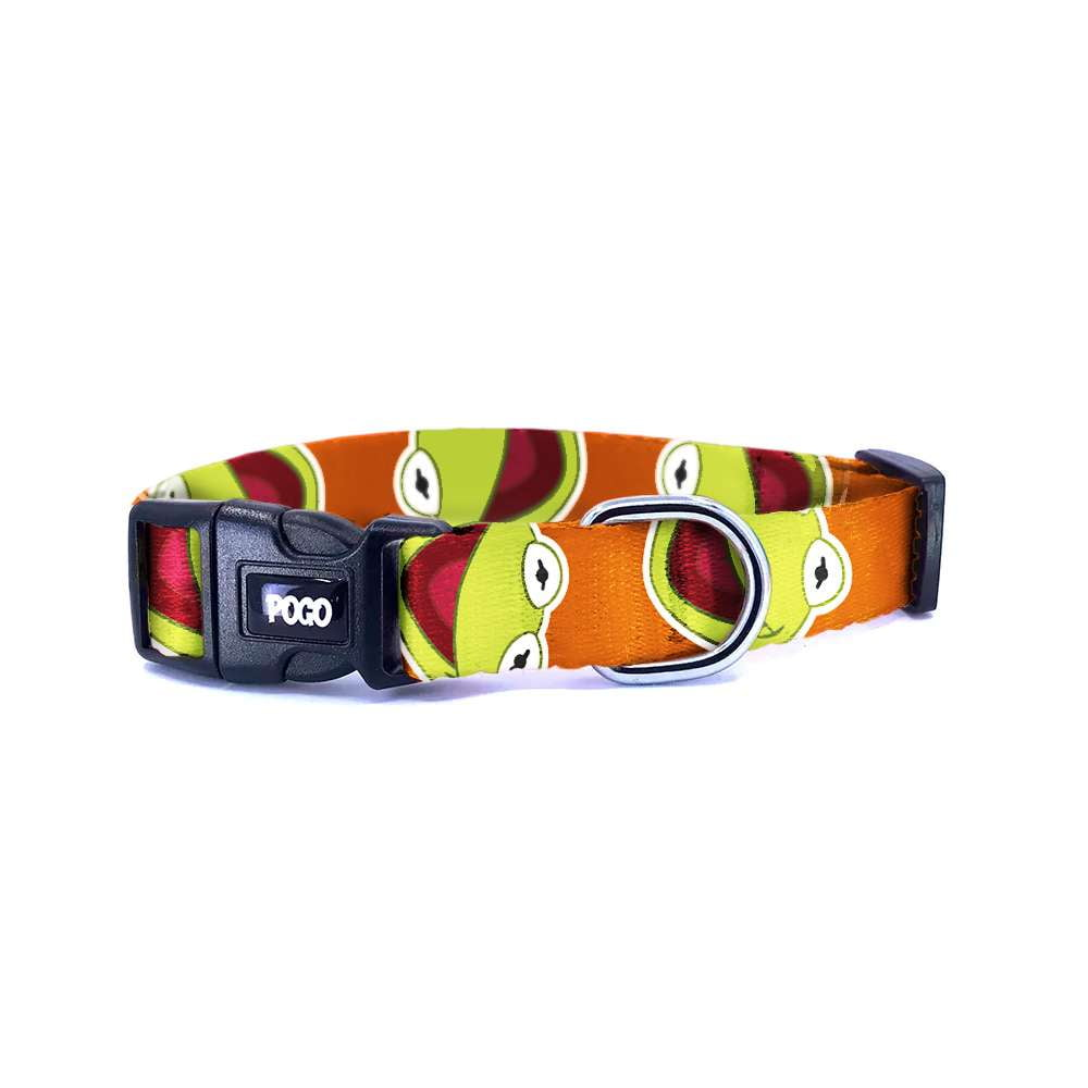 Kermit | Dog Collar