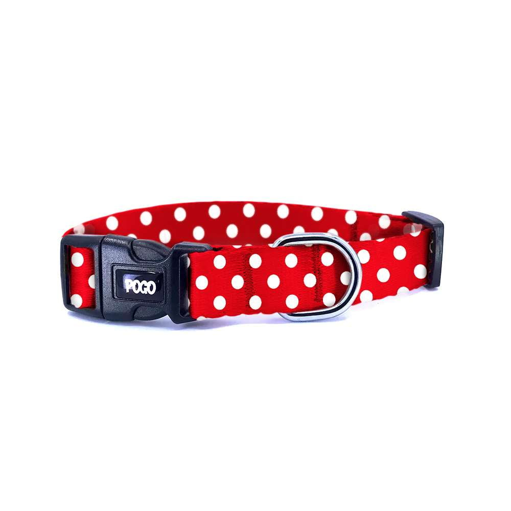 PolkaPop | Dog Collar