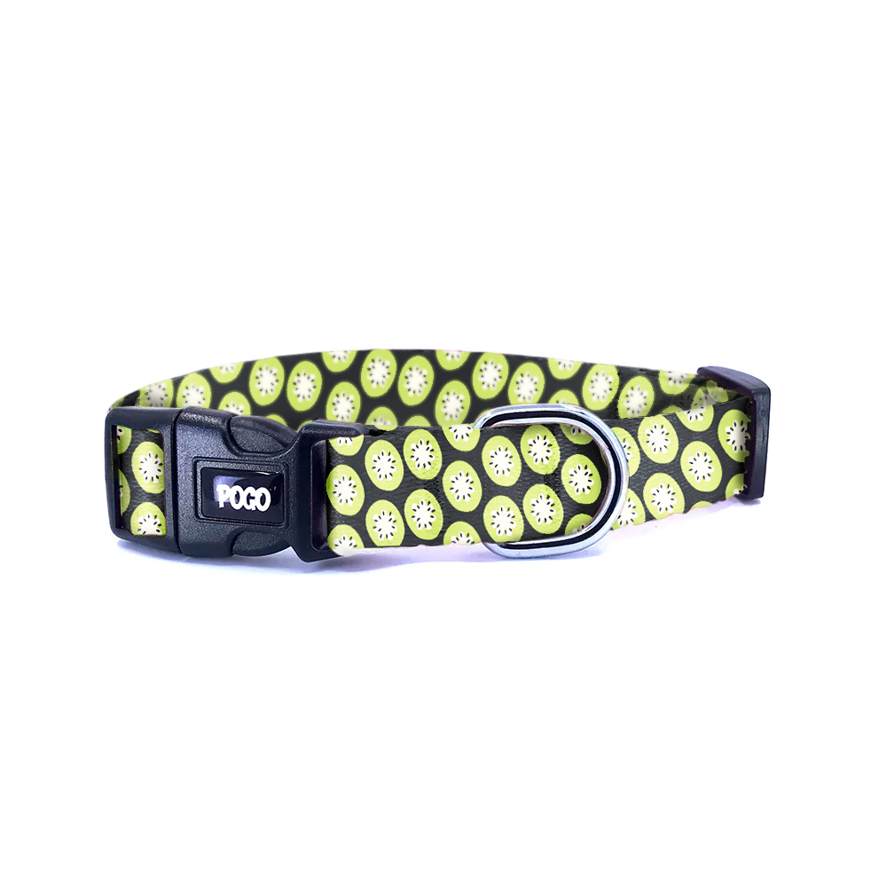 Kiwi | Dog Collar