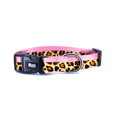 Leopard | Dog Collar