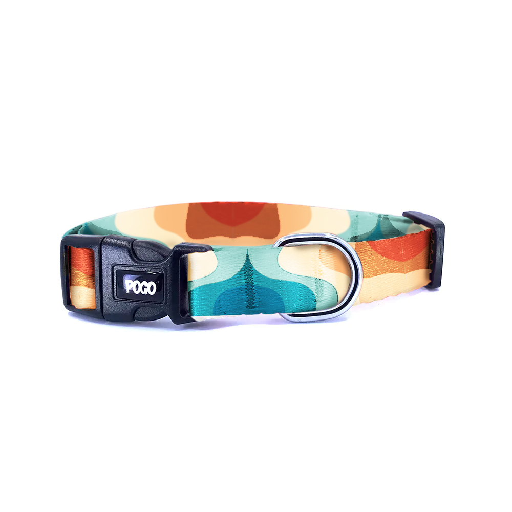 Swell | Dog Collar