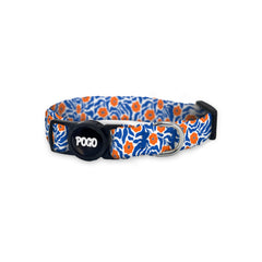 Tango | Cat Collar