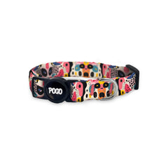Dash | Cat Collar