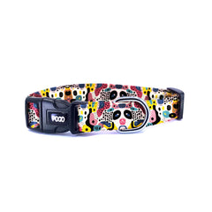Dash | Dog Collar