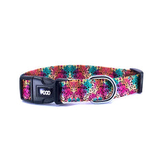 Roar | Dog Collar