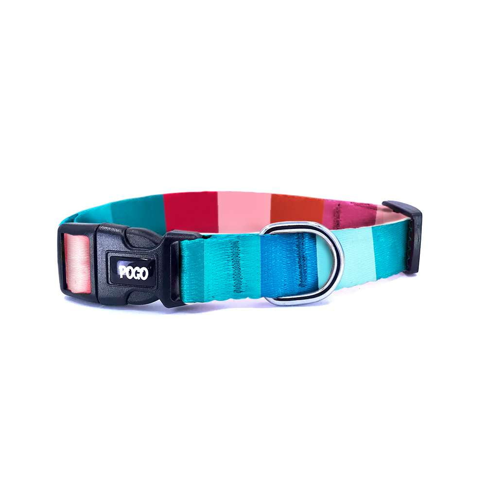Loki | Dog Collar
