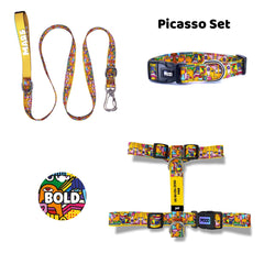 Picasso | Dog Collar Set
