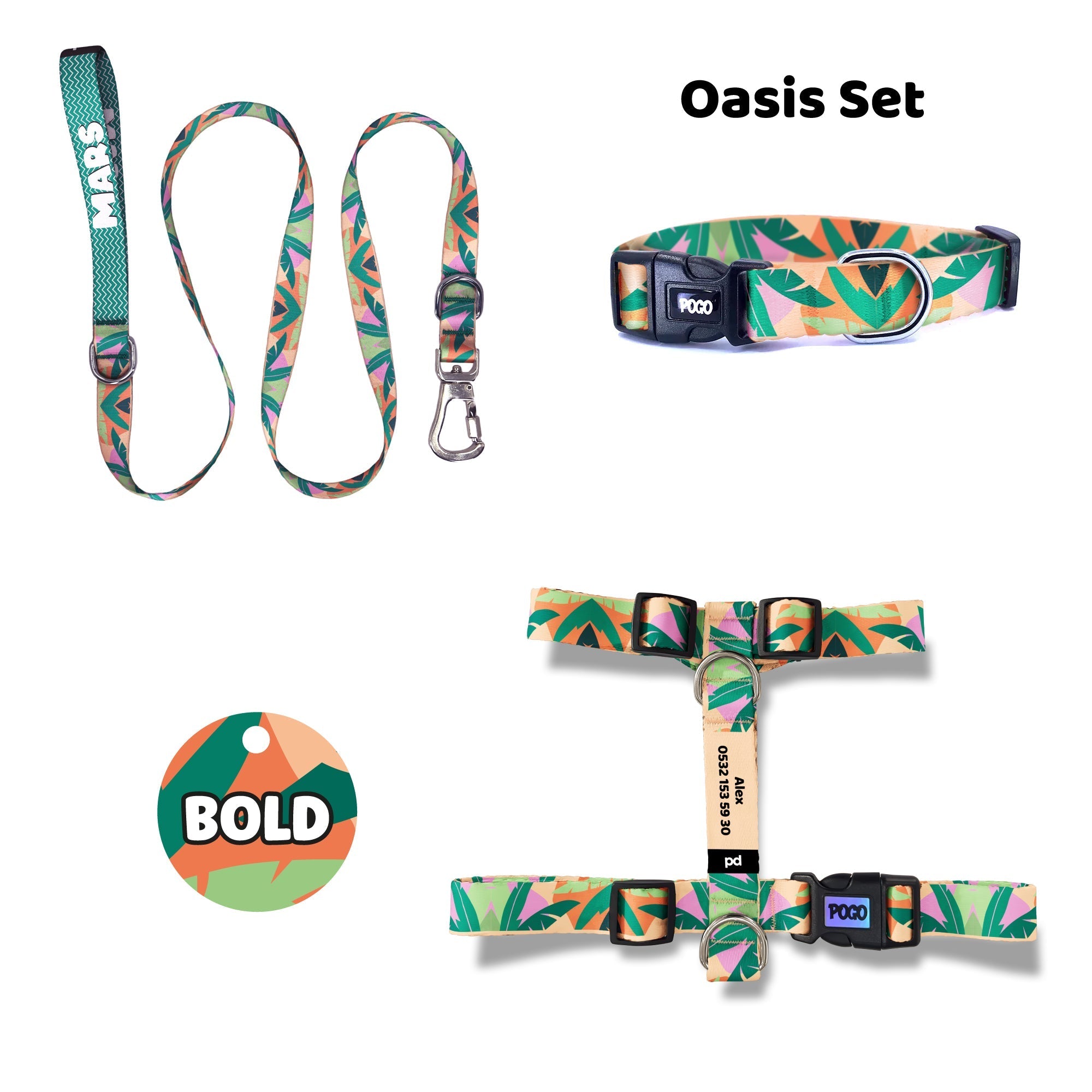 Oasis | Tasma ve Künye Seti