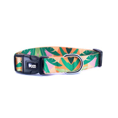 Oasis | Dog Collar