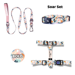 Soar | Dog Collar Set