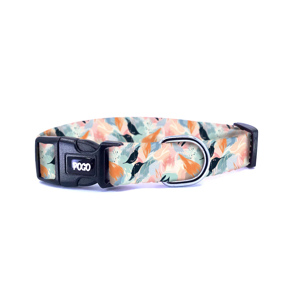 Soar | Dog Collar