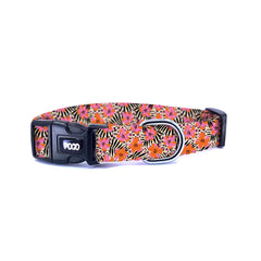 Feral | Dog Collar