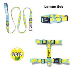 Lemon | Dog Collar Set
