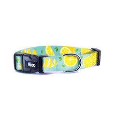 Lemon | Dog Collar