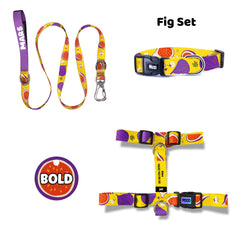 Fig | Dog Collar Set